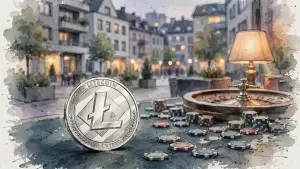 Litecoin Casino Vergleich: Anbieter und Zahlungen